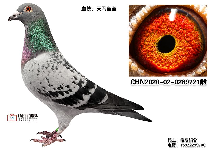 1-CHN2020-02-0289721