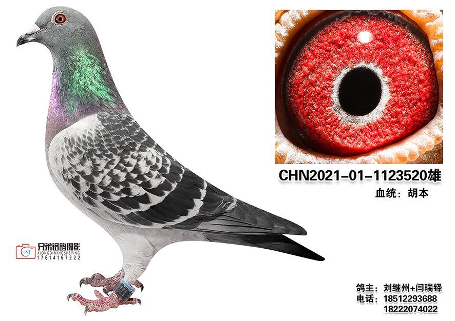 1-CHN2021-01-1123520