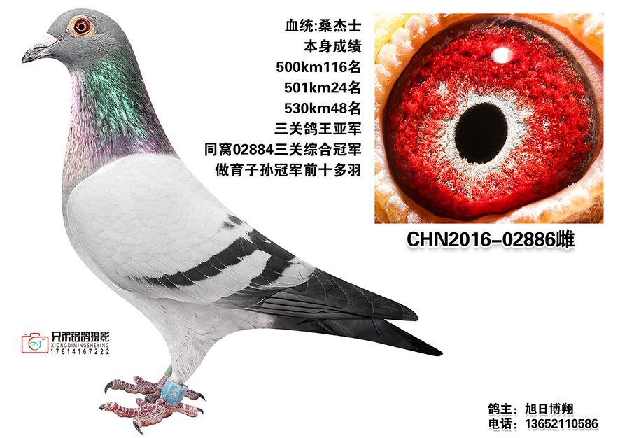 2.CHN2016-02886