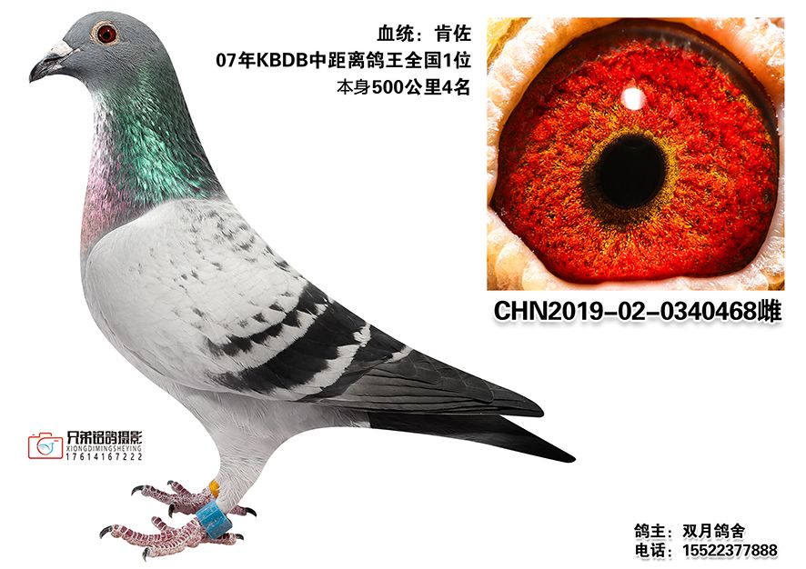 2.CHN2019-02-0340468