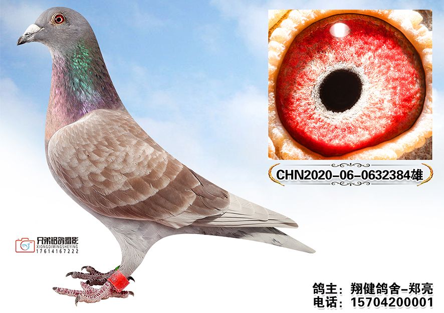 2.CHN2020-06-0632384