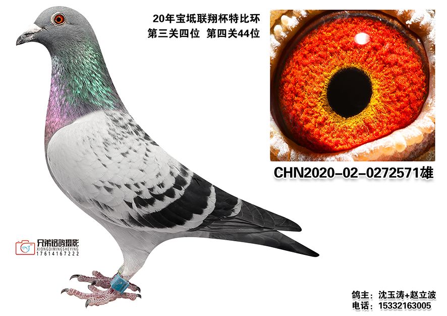 2-CHN2020-02-0272571