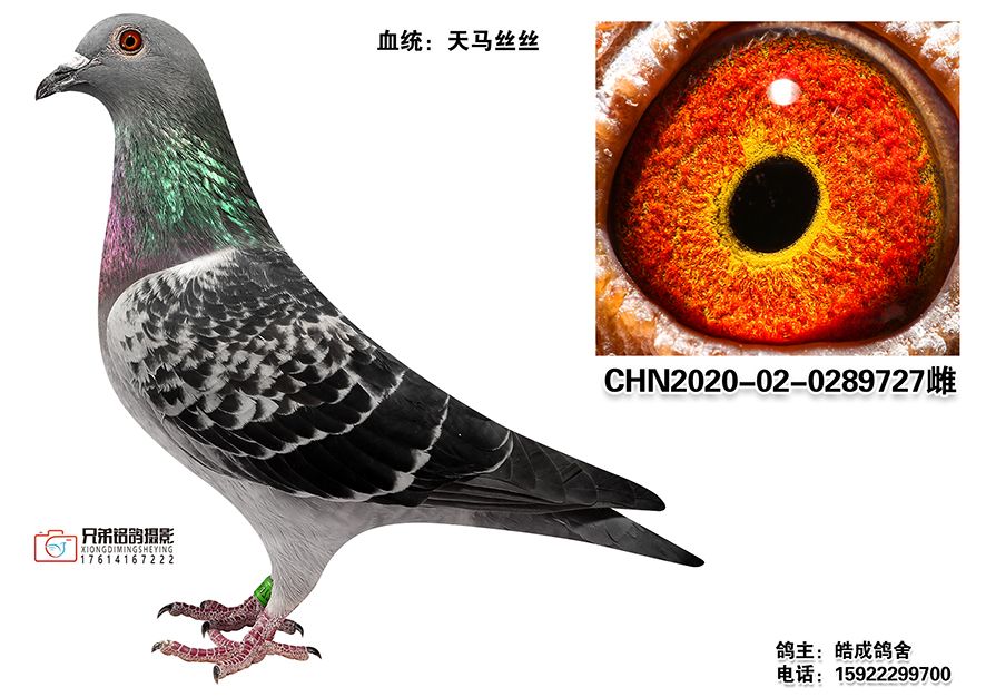 2-CHN2020-02-0289727
