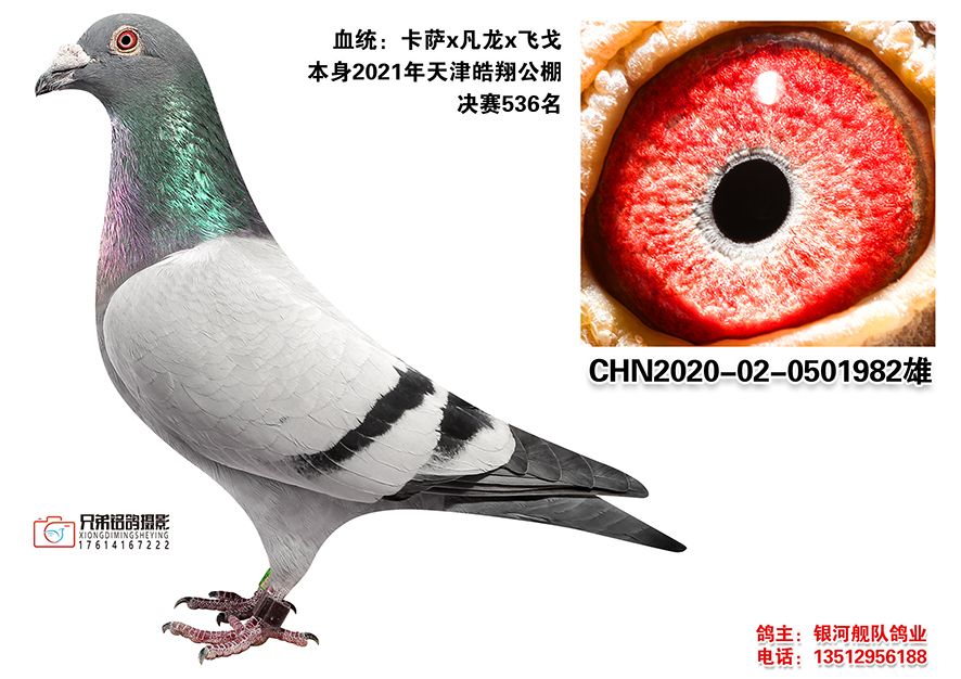 2-CHN2020-02-0501982