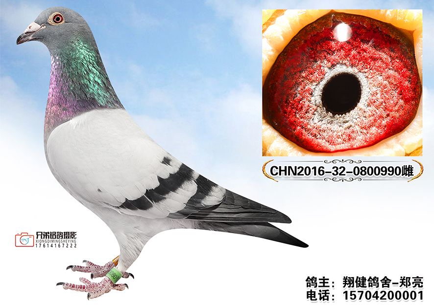 3.CHN2016-32-0800990