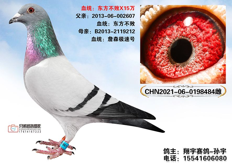 3.CHN2021-06-0198484