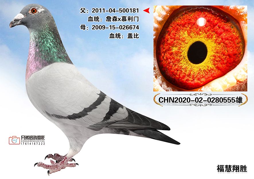 3_CHN2020-02-0280555