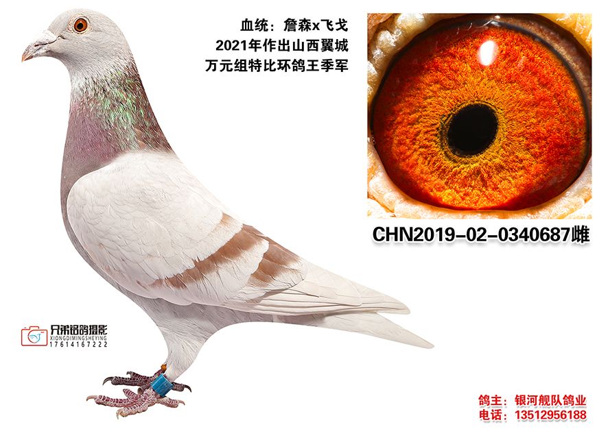 3-CHN2019-02-0340687