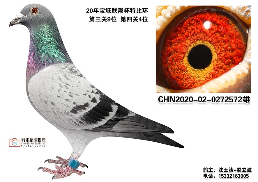 3-CHN2020-02-0272572