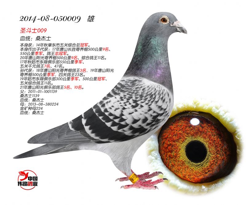 ʥʿ009
