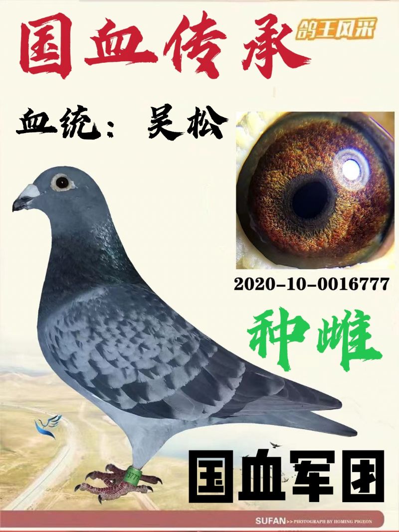 2̖(ho)N