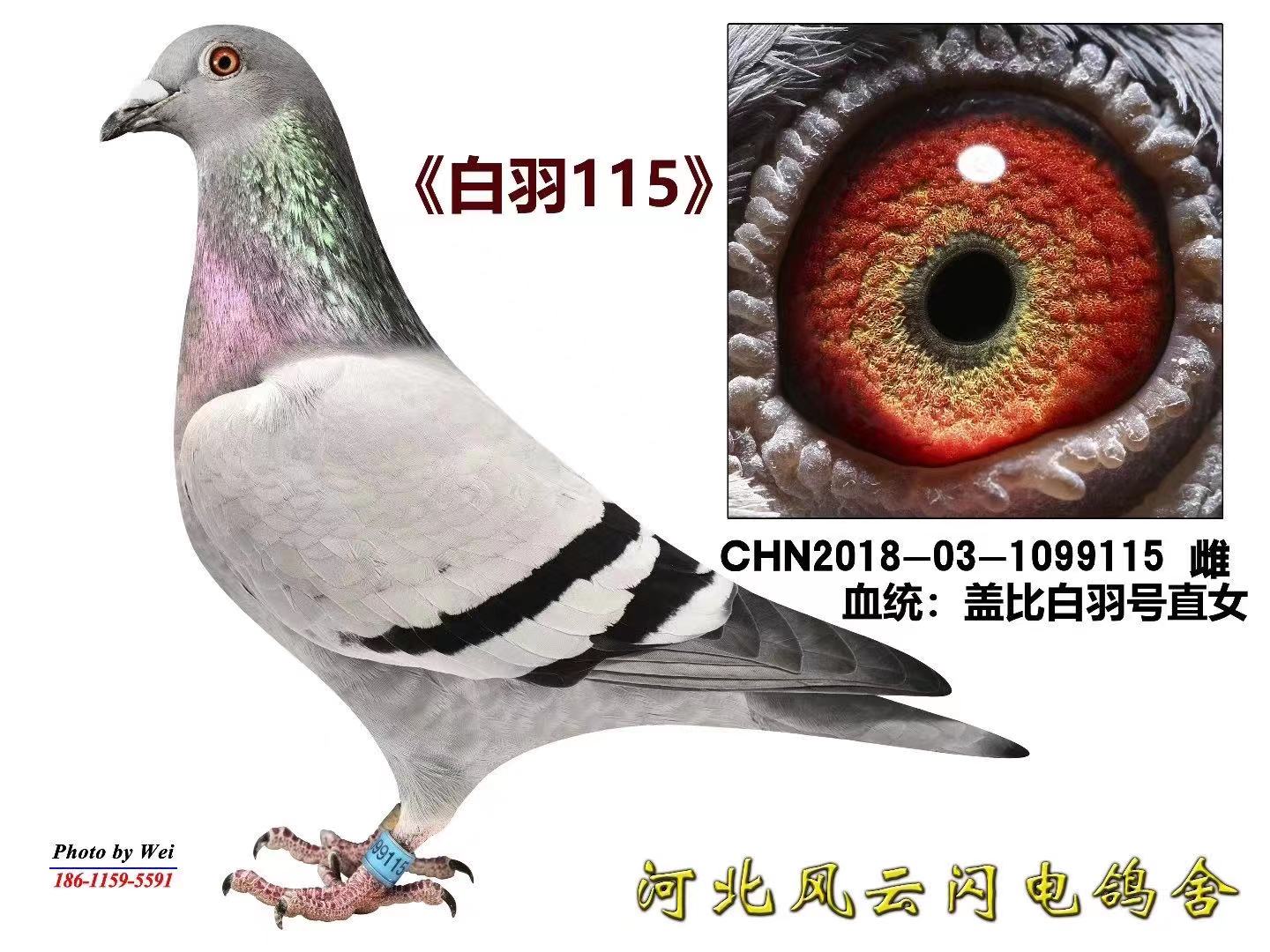 115