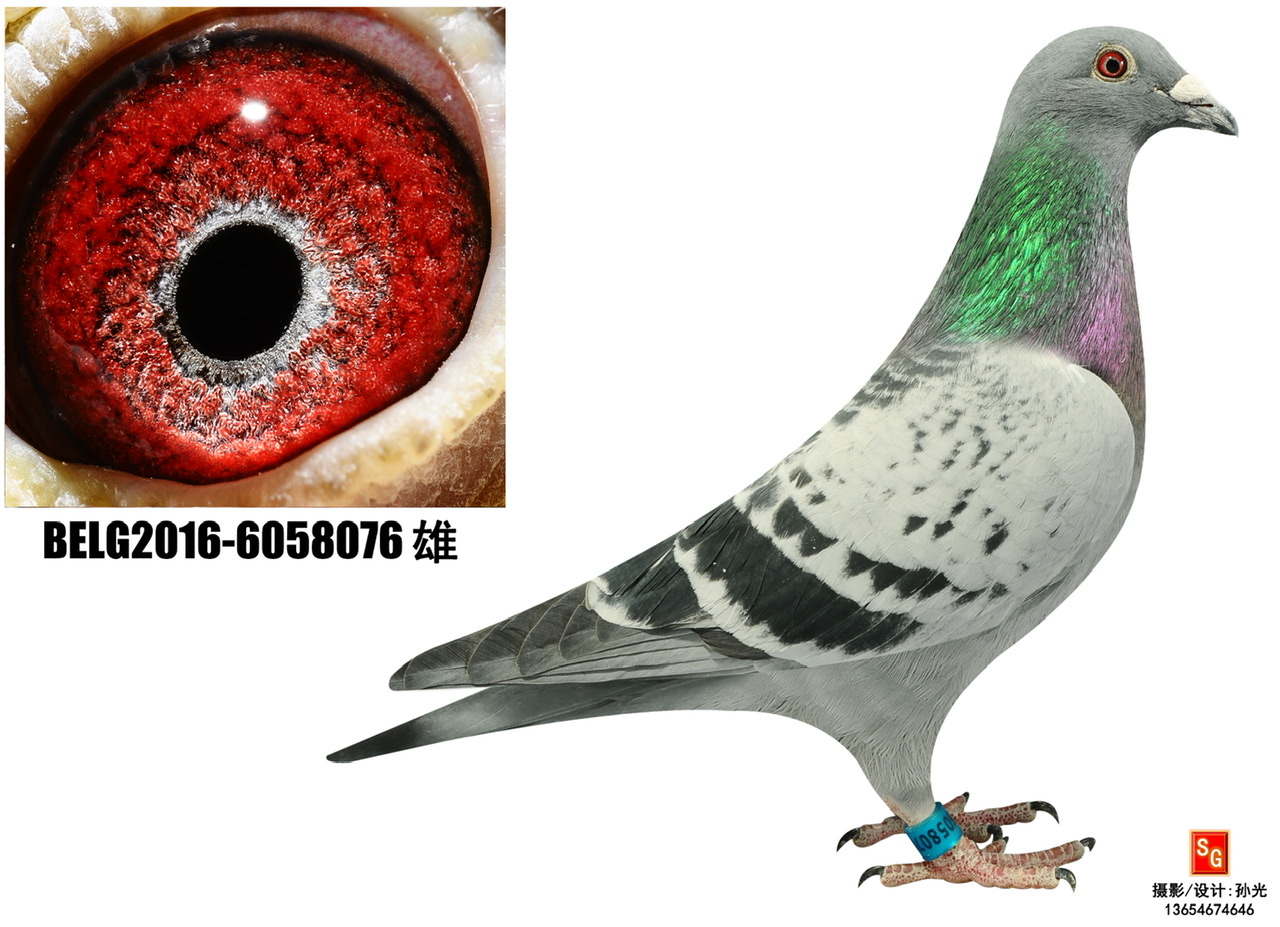 R076