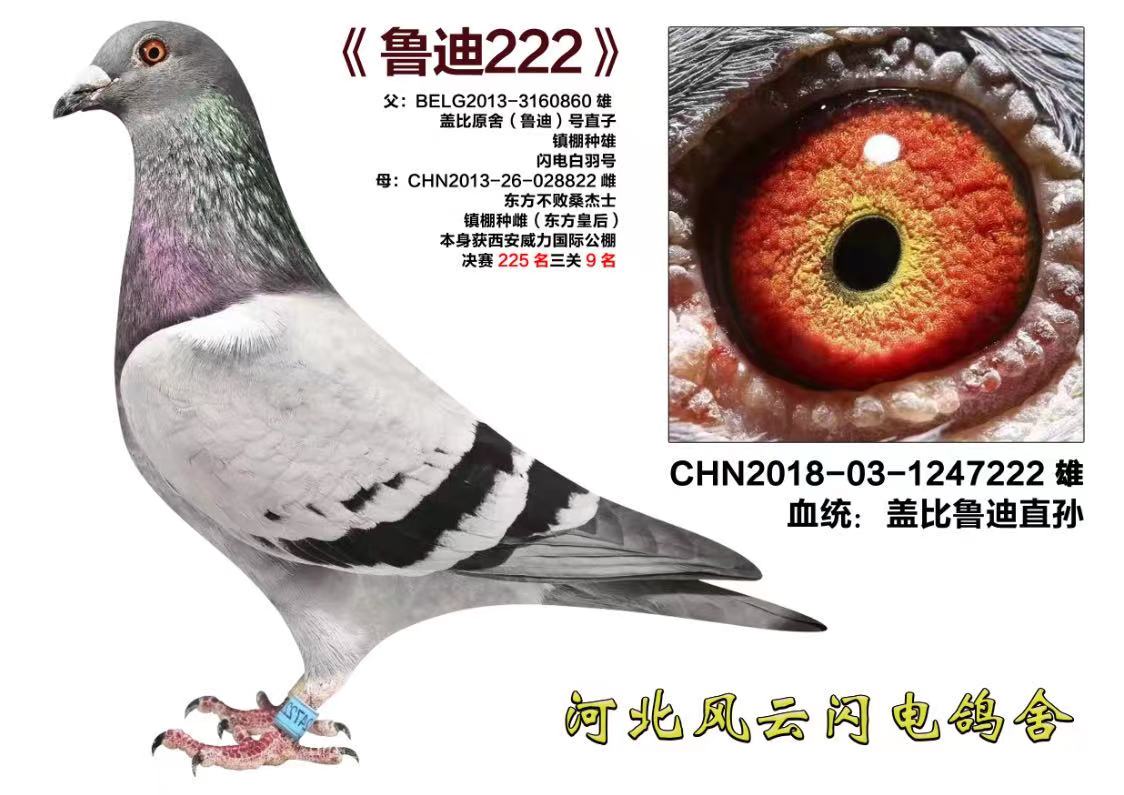 ³222
