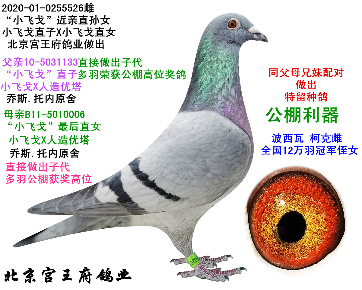 СwHֱOŮ ͬĸ䌦(du)