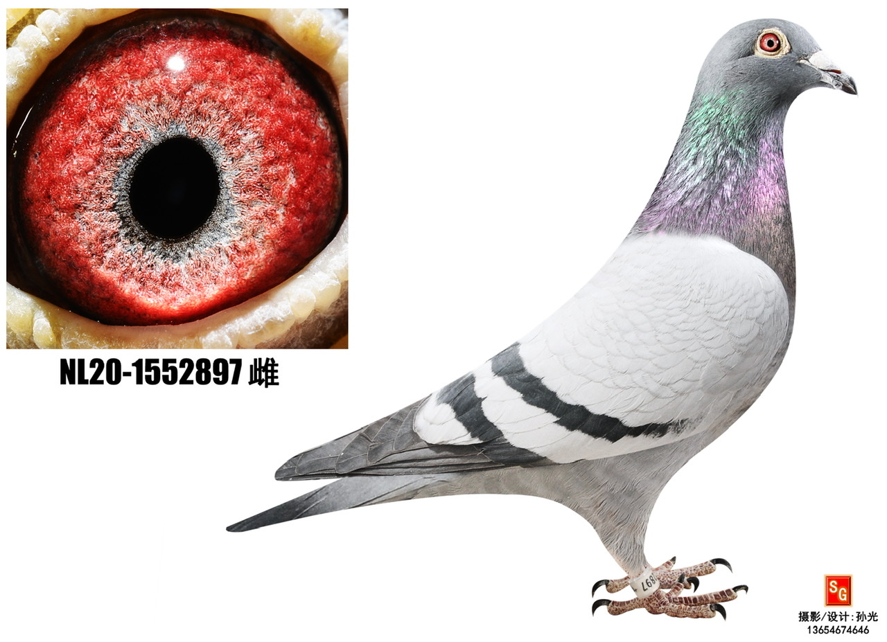 897