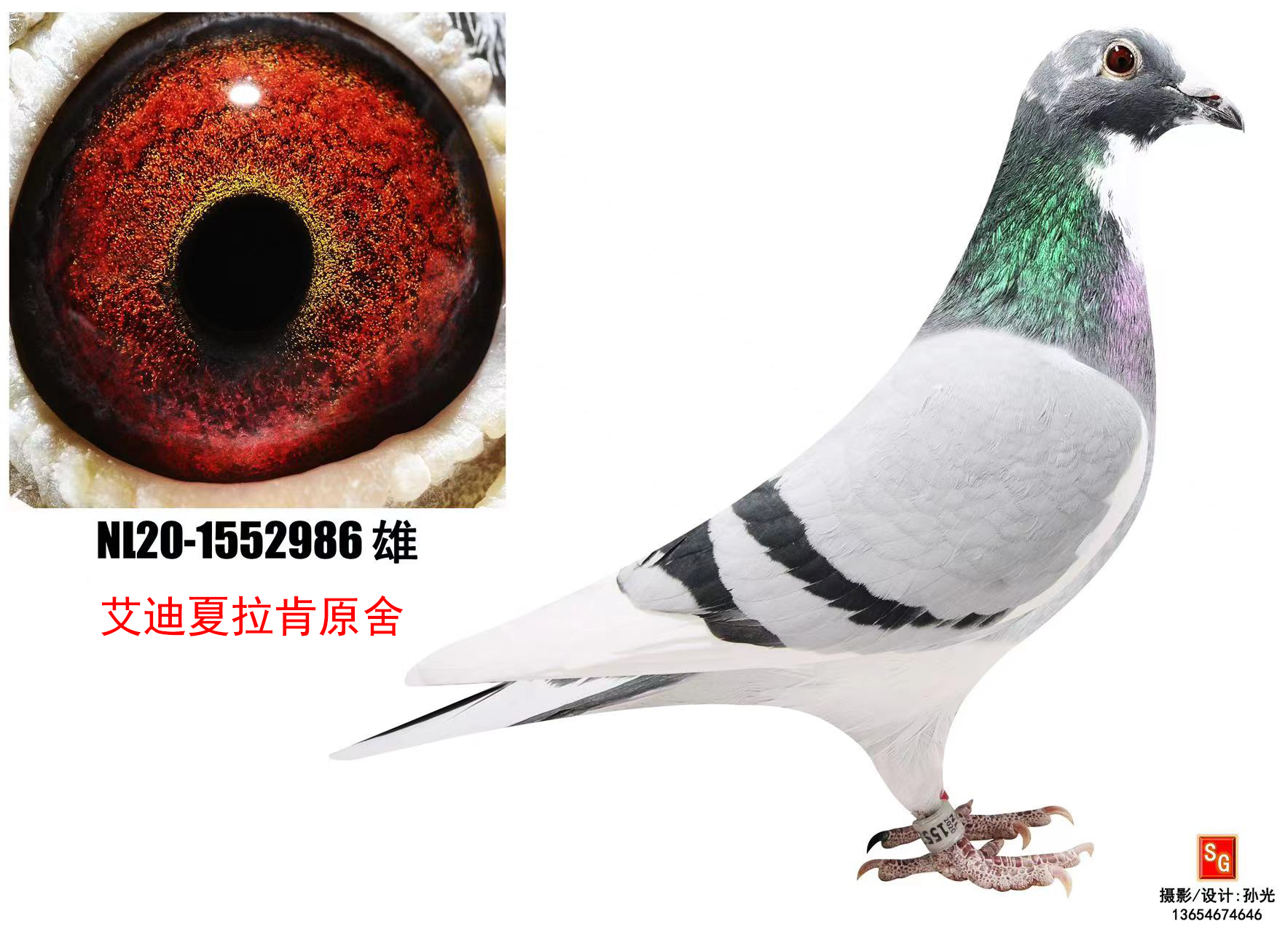 968