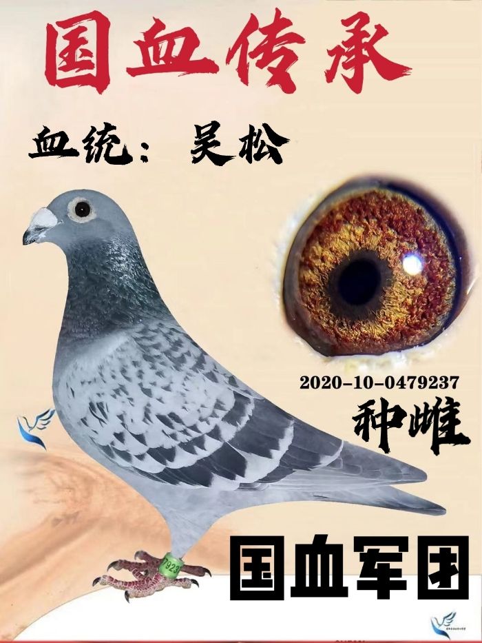 3̖䌦N