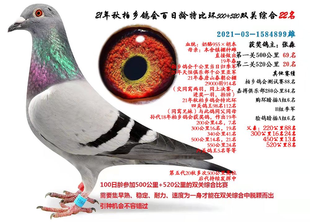 ֮