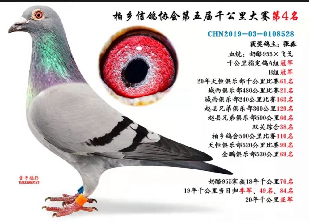 21ǧ4