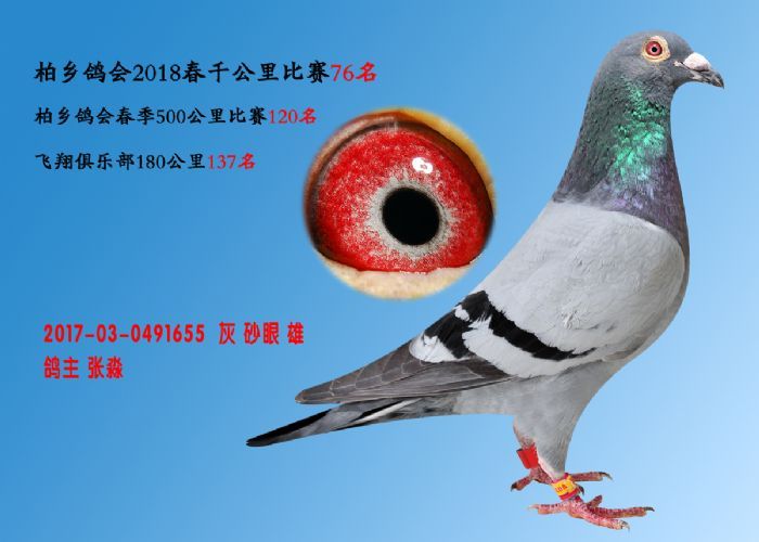 18ǧ76