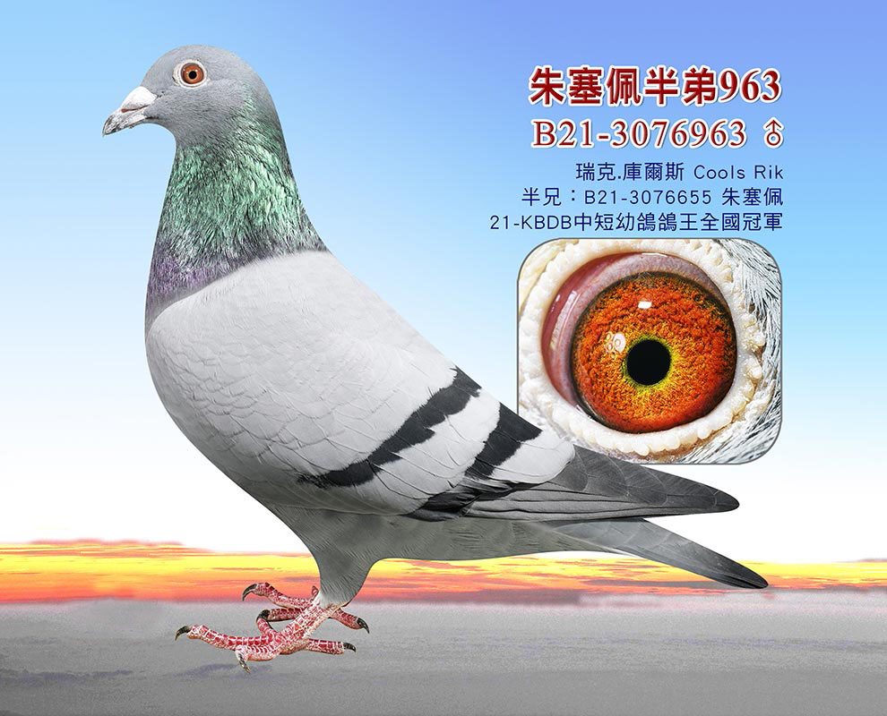 оxٶ/˿ˡ(k)˹