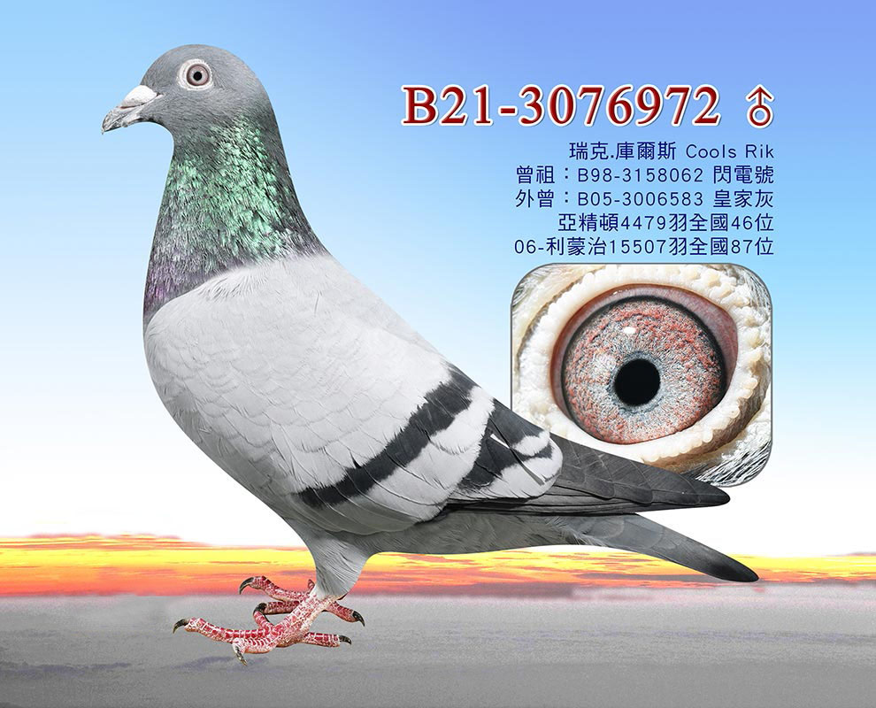 оxٶ/˿ˡ젖˹