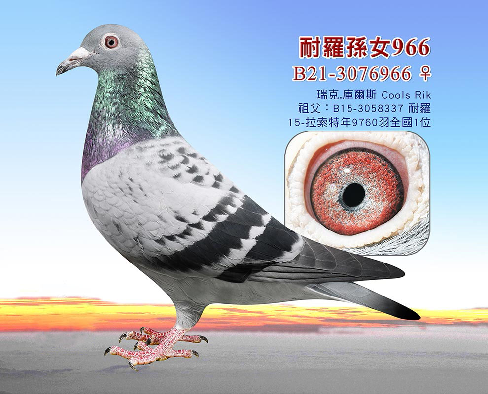 оxٶ/˿ˡ젖˹