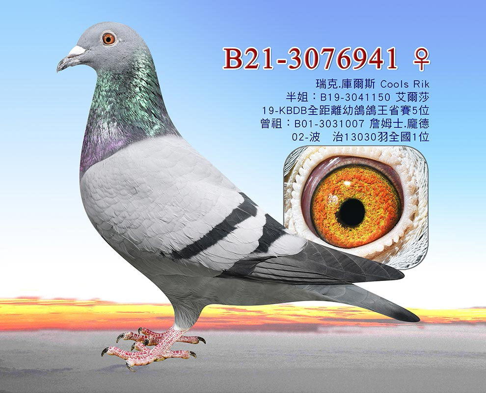 оxٶ/˿ˡ젖˹