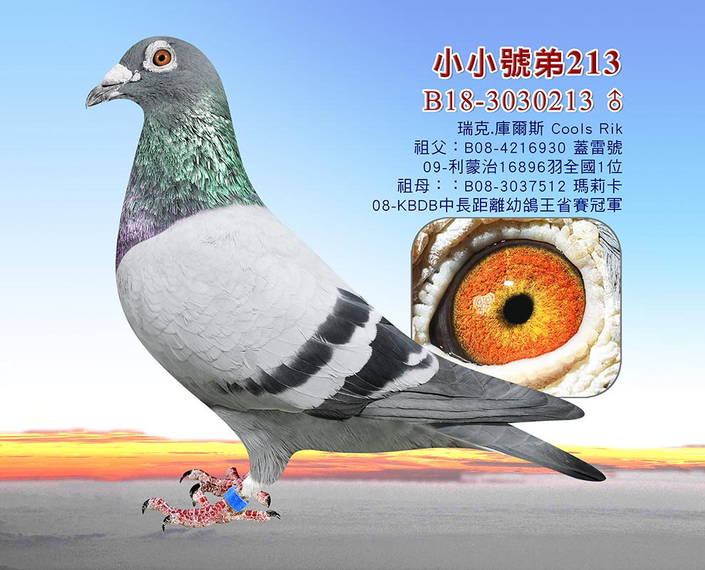 оxٶ/˿ˡ(k)˹