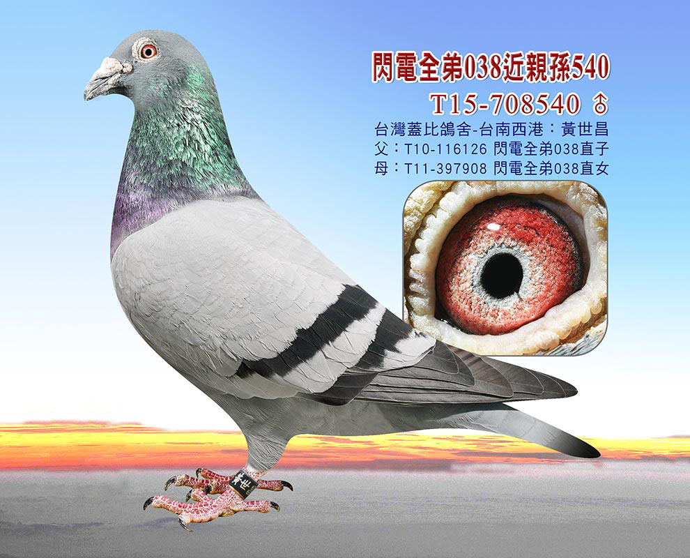 wȰ׸̖W̖?sh)M ̖