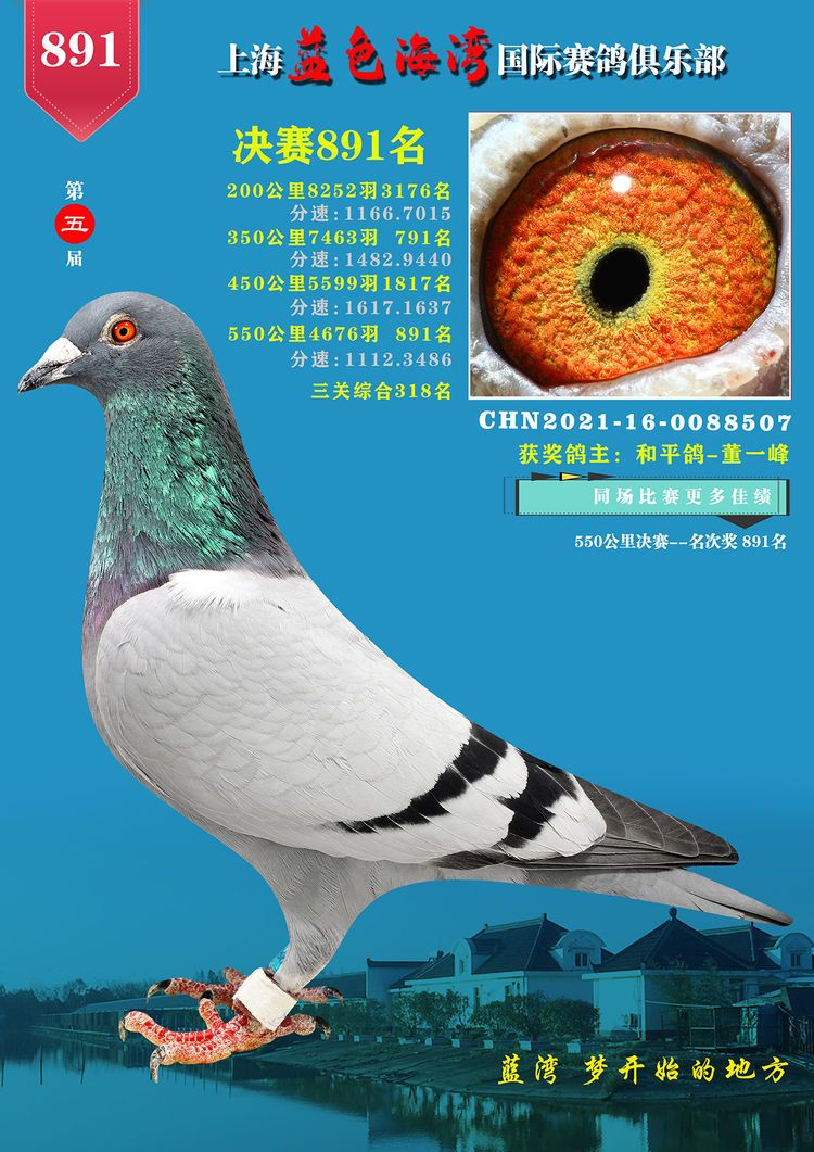 上海藍(lán)色海灣公棚決賽891名
