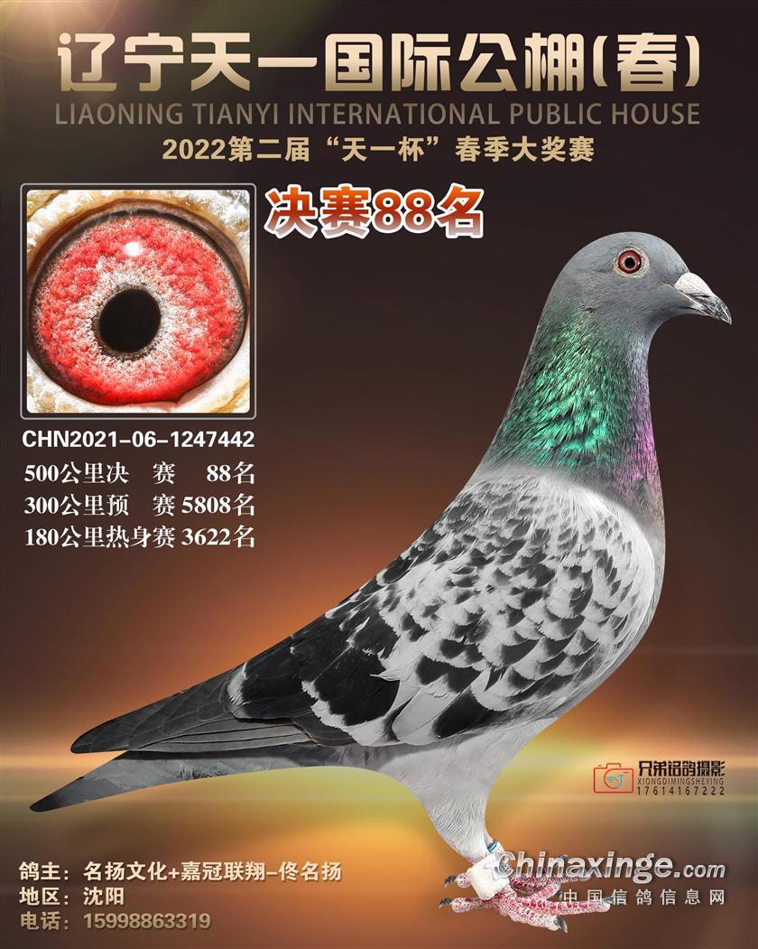 2022|һHQِ88