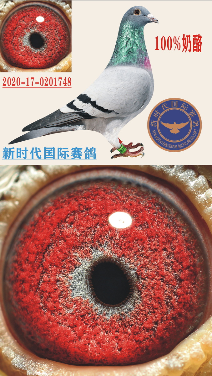 ҡ098HL(fng)䌦(du)OŮ