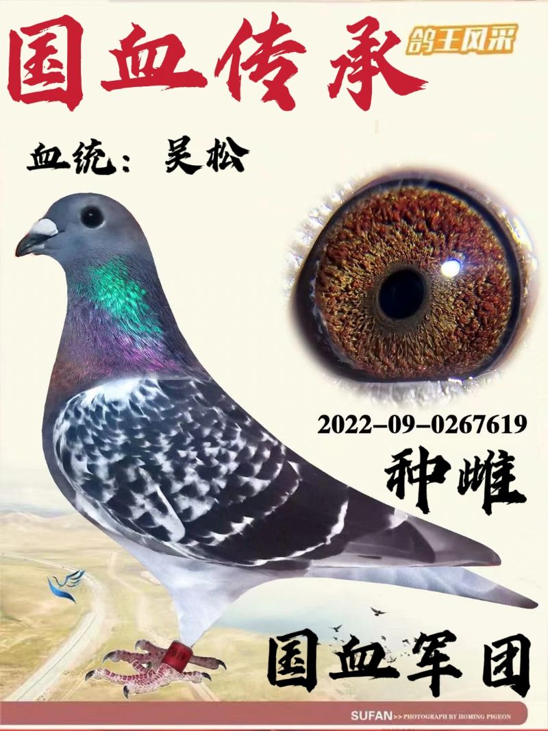 1̖䌦