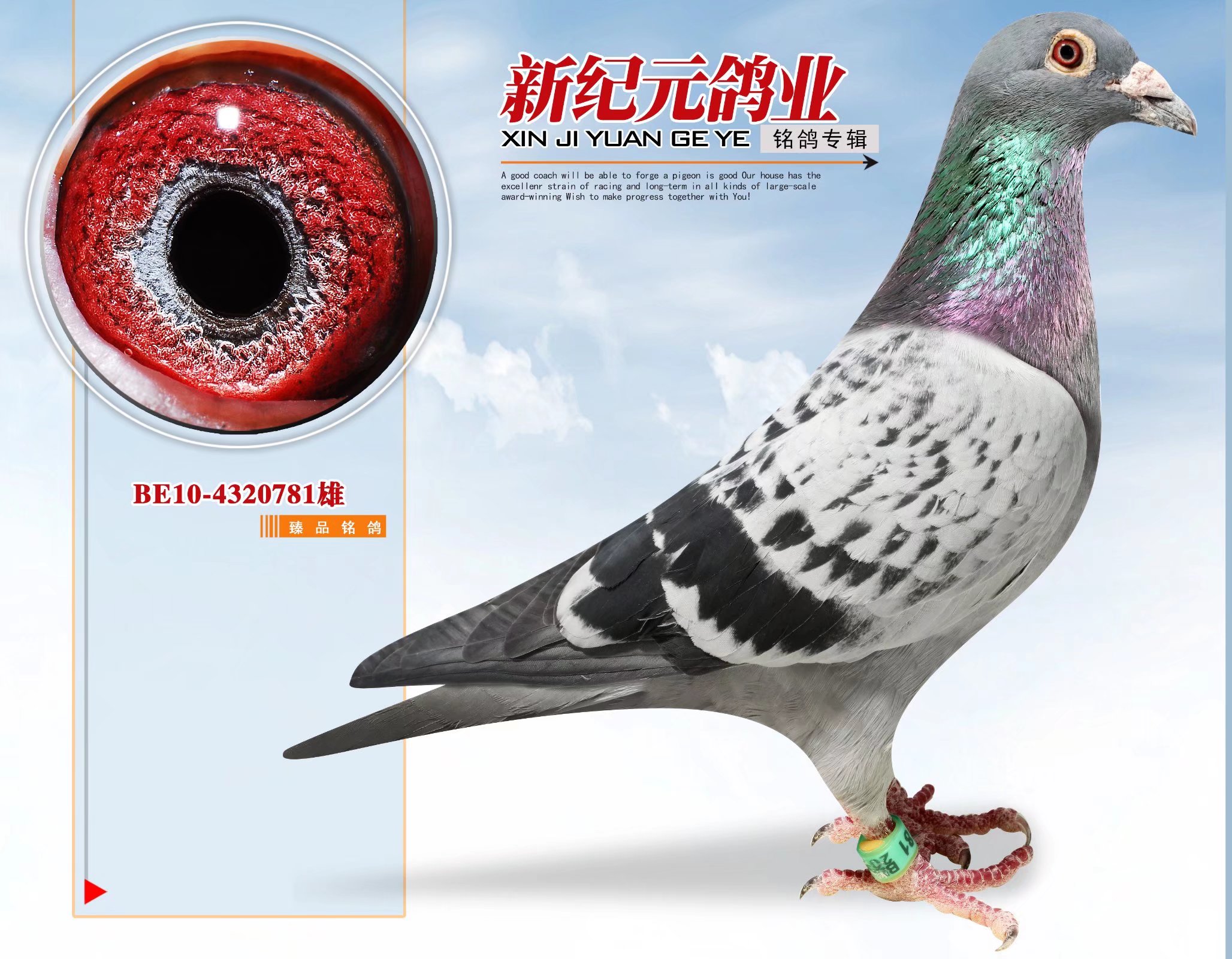 ����?sh��)���ֱ�ӡ? ></a>
        
      
      </div>
   
       <br>
    </td>
  </tr>
</table>
   
<table width=