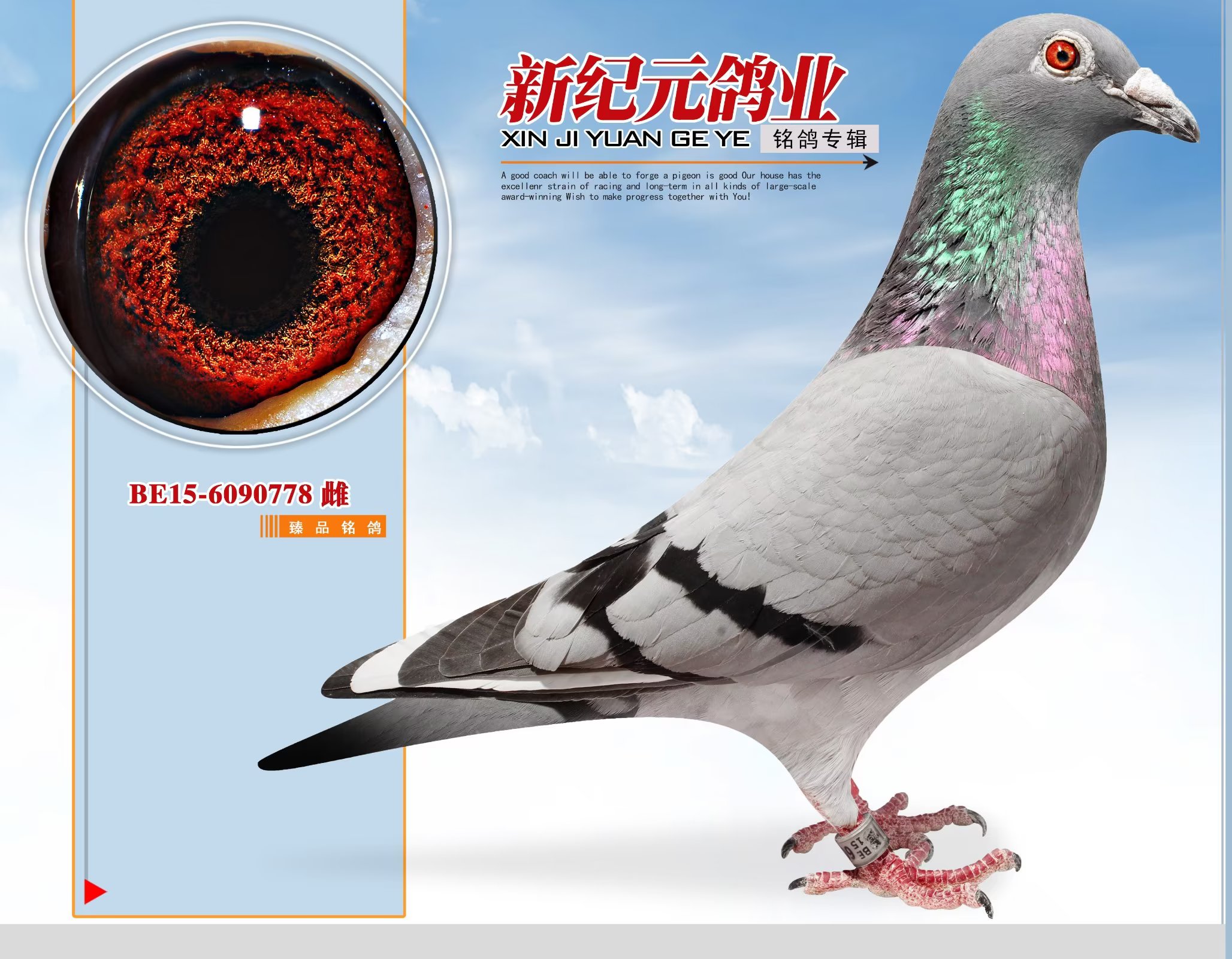 ������̖(h��o)��OŮ ʮ��ِ����