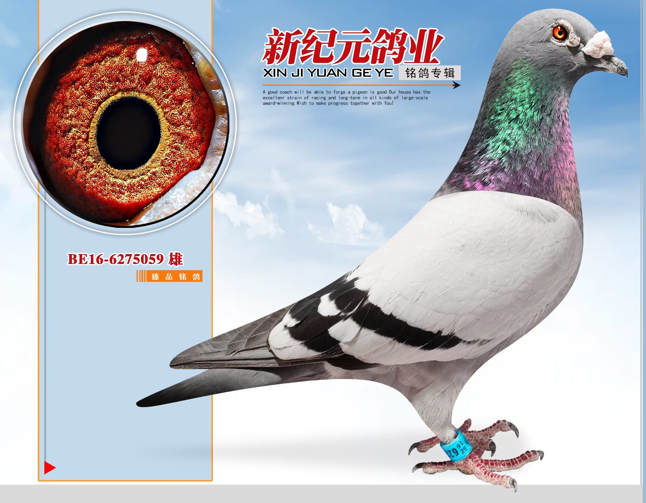 ������ֱ�ӡ�