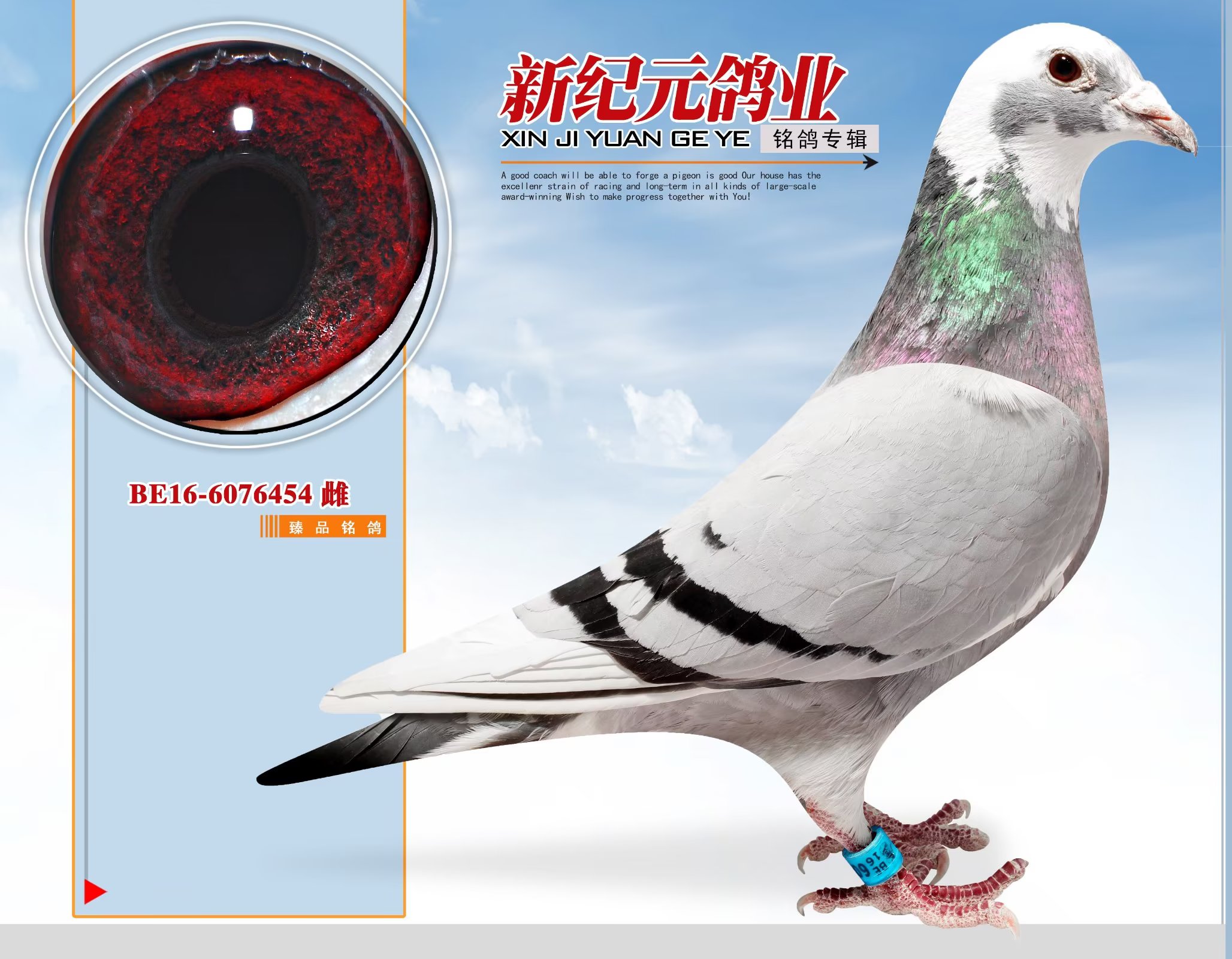 ��������OŮ��