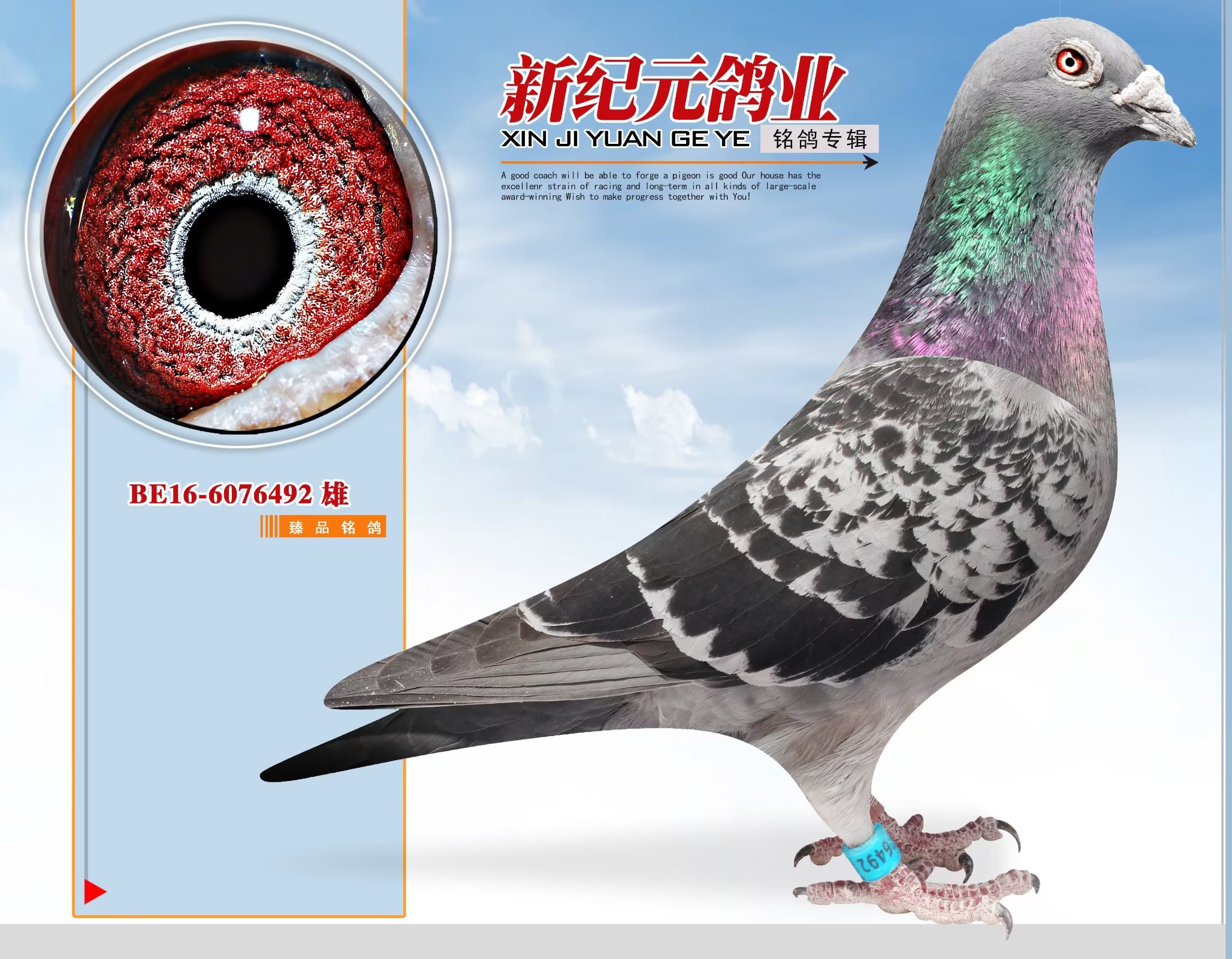 ���{��̖��Ѫ��