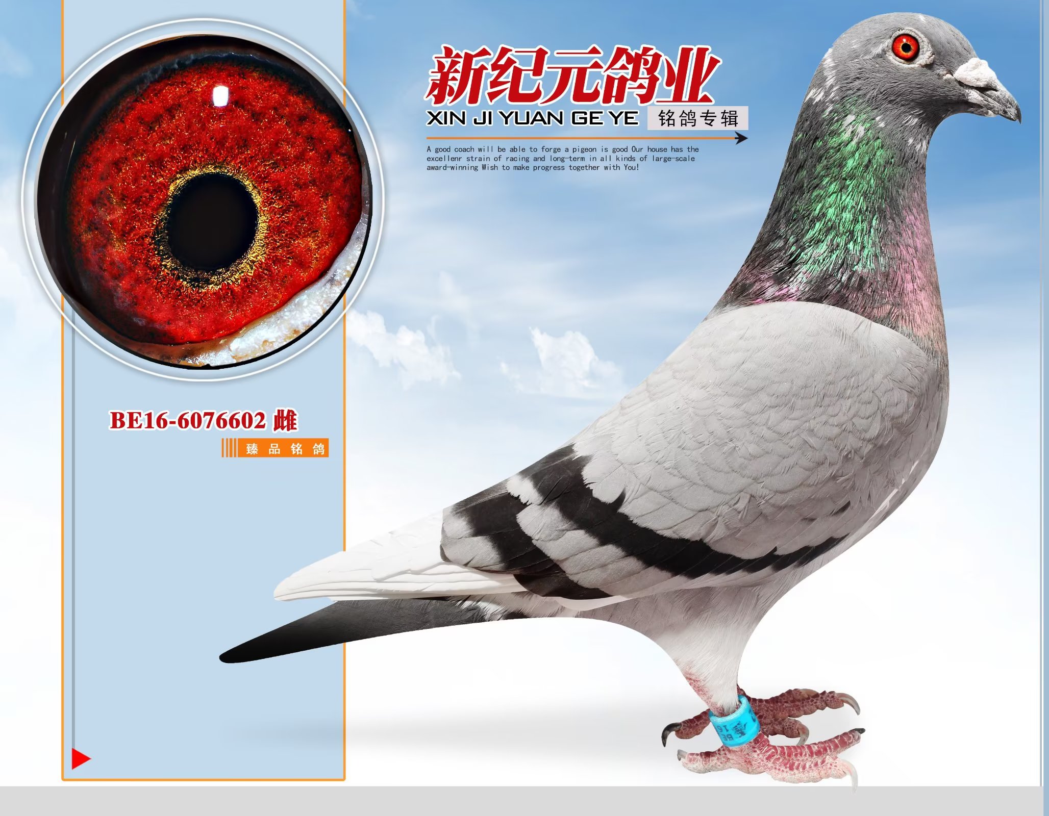 ������ֱ̖Ů��