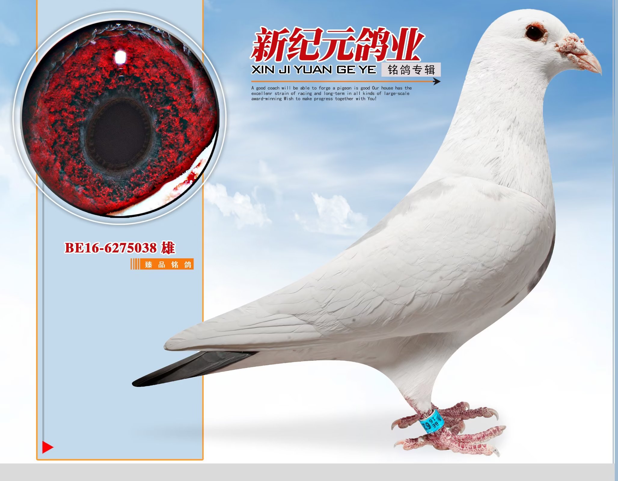 �����r(n��ng)��ֱ�O-����̖��O��