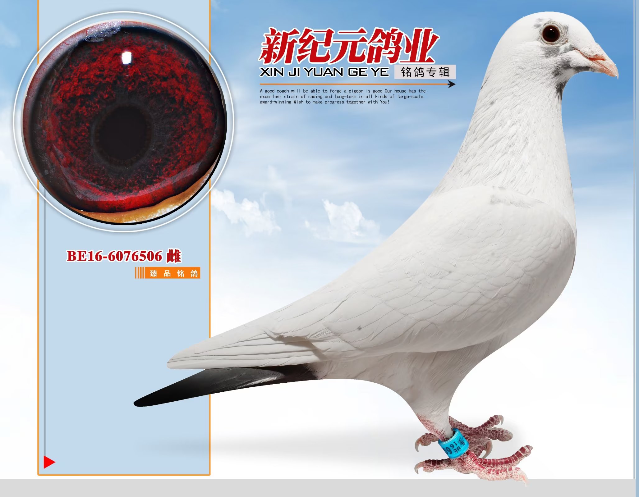 ������̖��O��