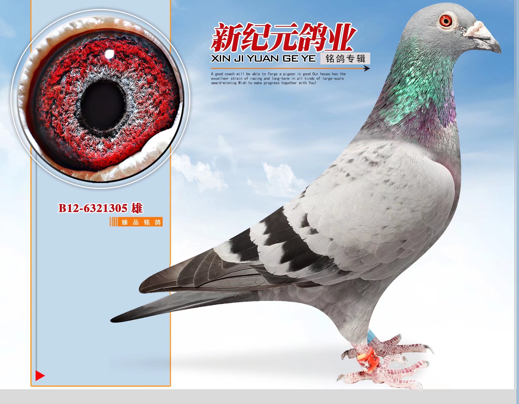 ���W��ƥ��03ֱ�O�����Wԭ��