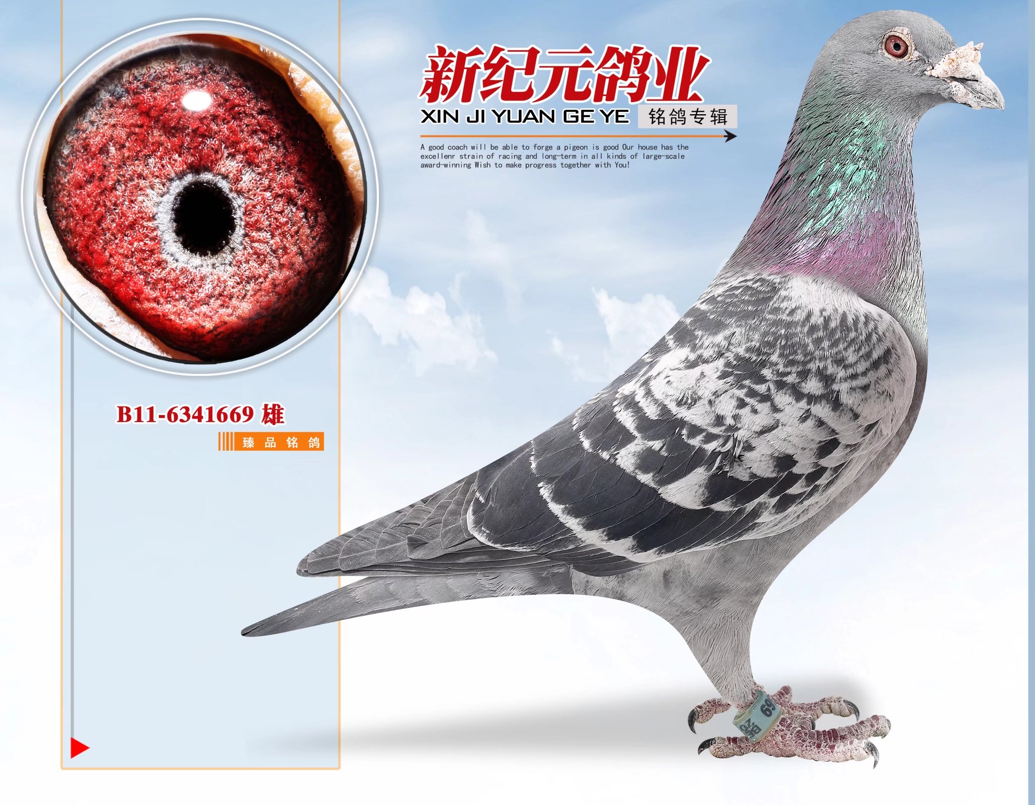 ����������W03ֱ�O��