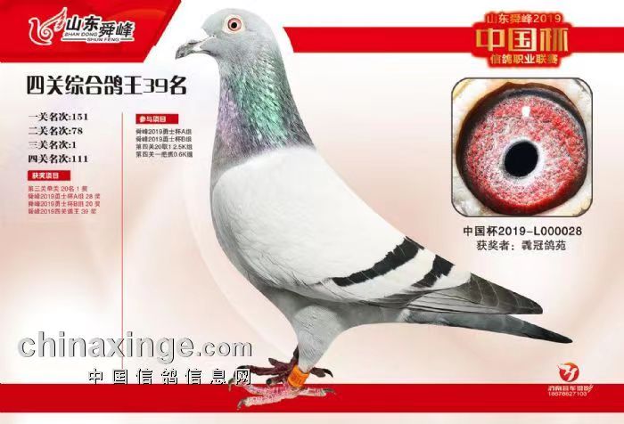 19P39
