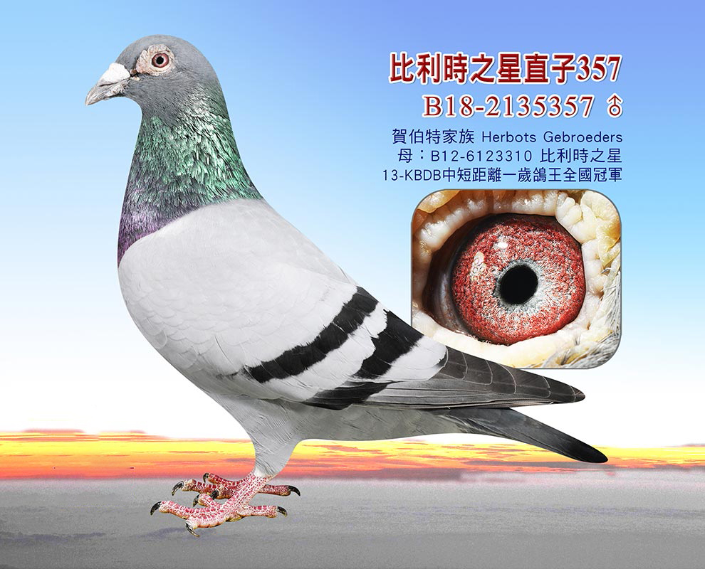 Rؼ/rֱ֮|fֱ̖Ů