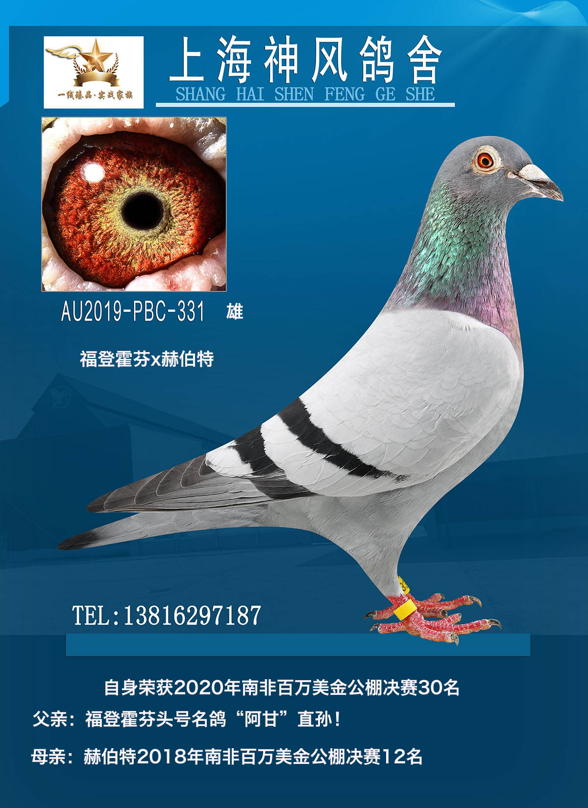 2020Ϸǰf(wn)30