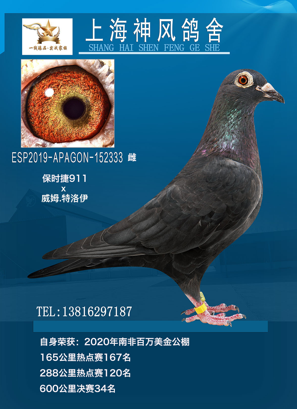 2020Ϸǰf34