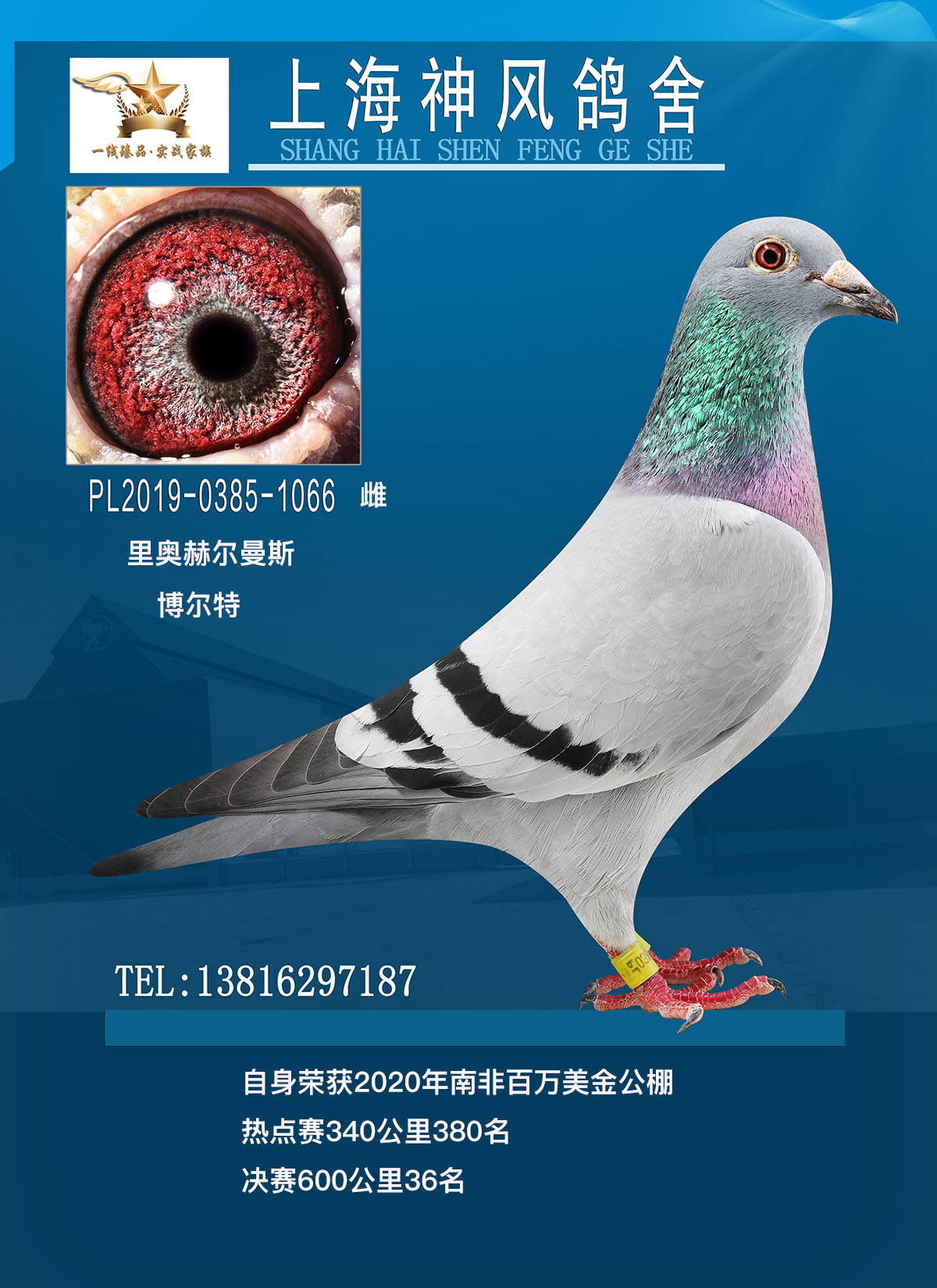 2020Ϸǰf36